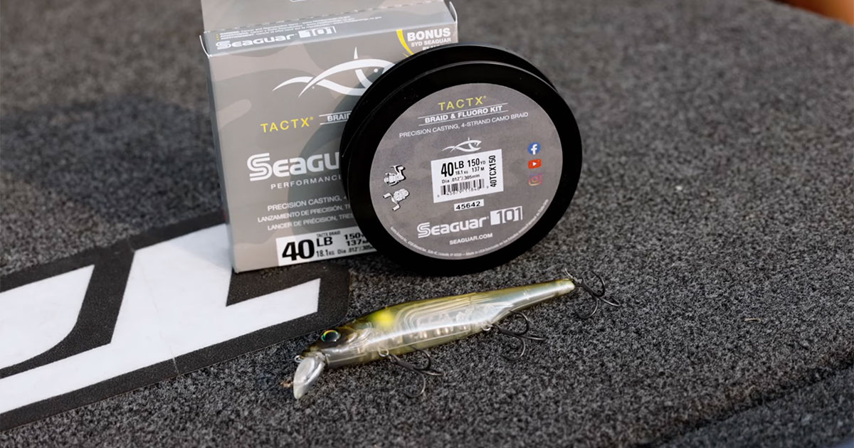Seaguar line and jerkbait