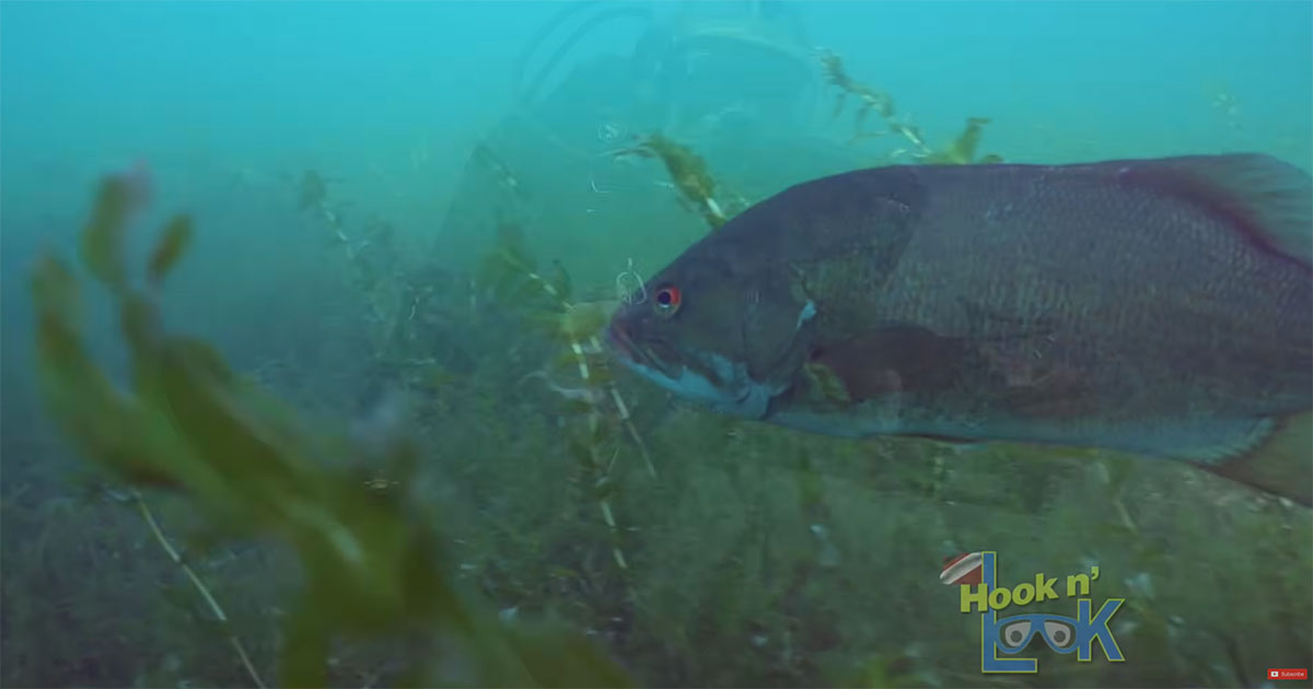 Exploring St. Clair Bottom