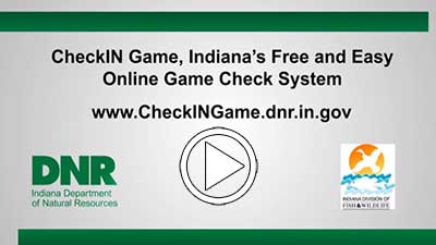 How to Use CheckIN Game