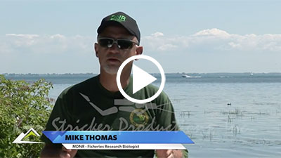 Hook n' Look's Perspective on Michigan's Proposed Bass Regulations 215.15
