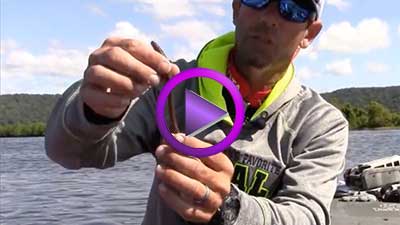 Mike Iaconelli: Match Your Plastic Tails to Fishing Conditions