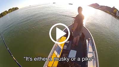 Angler Kills & Tosses Musky for No Reason