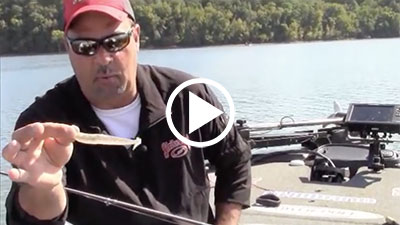 Zona Tips: Swimbaits for Cold Water