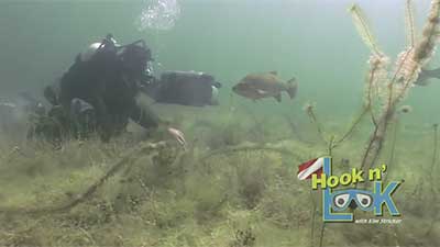 Hook n' Look's Under Water Ecosystem