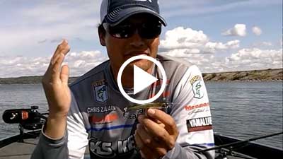Chris Zaldain: Spinbaits: The Newest Craze in Finesse Fishing
