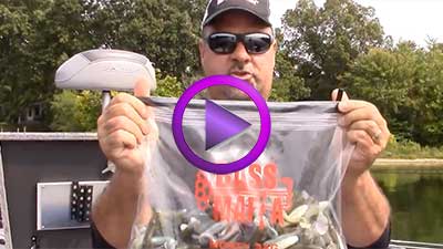 Zona Tips: : Protect Your Plastics with 