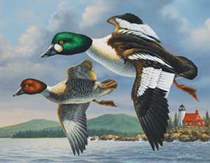 2015 collector-edition Michigan duck stamp