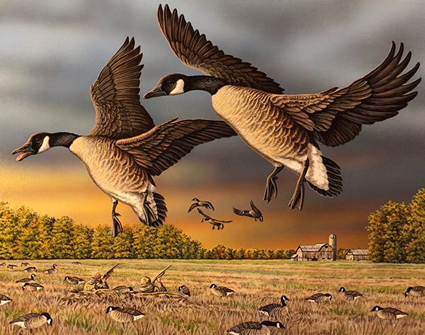 Michigan Duck Stamps/Prints Available Now