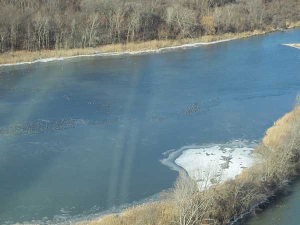 Michigan monitors waterfowl populations from the sky.
