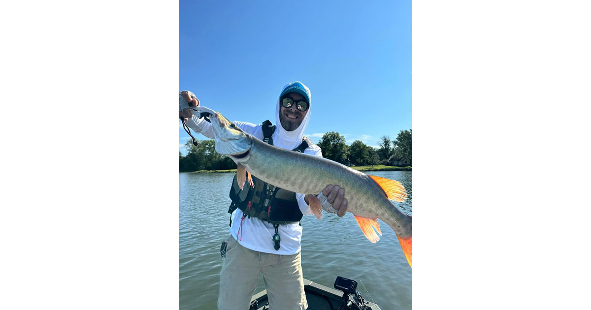 Kokomo Muskie
