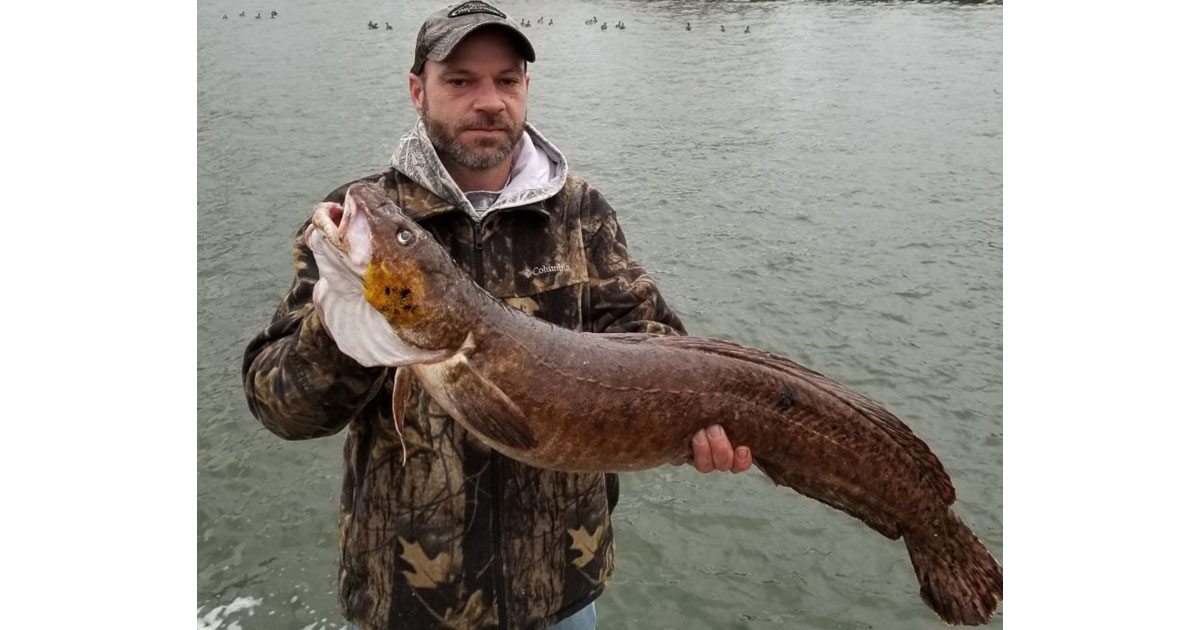 Anthony Burke with his state record burbot