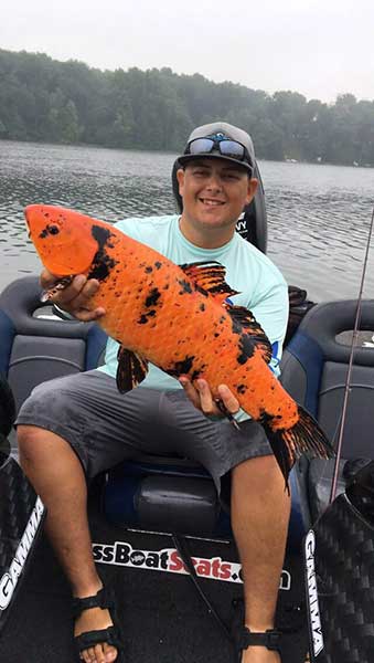 Big Orange Fish Surprises Edwardsburg Angler