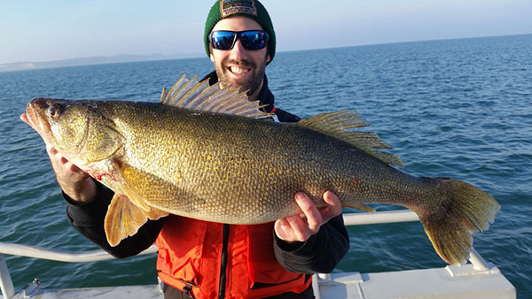 Big Walleyes Lurk in Lake Michigan