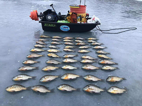Ice Conditions Improve; Anglers Are Doing Well