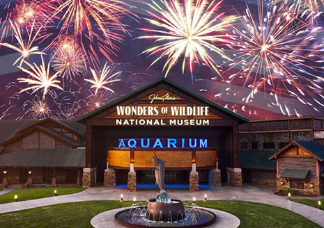 Springfield’s Bass Pro Shops Wonders of Wildlife Aquarium Named Best in America - Again